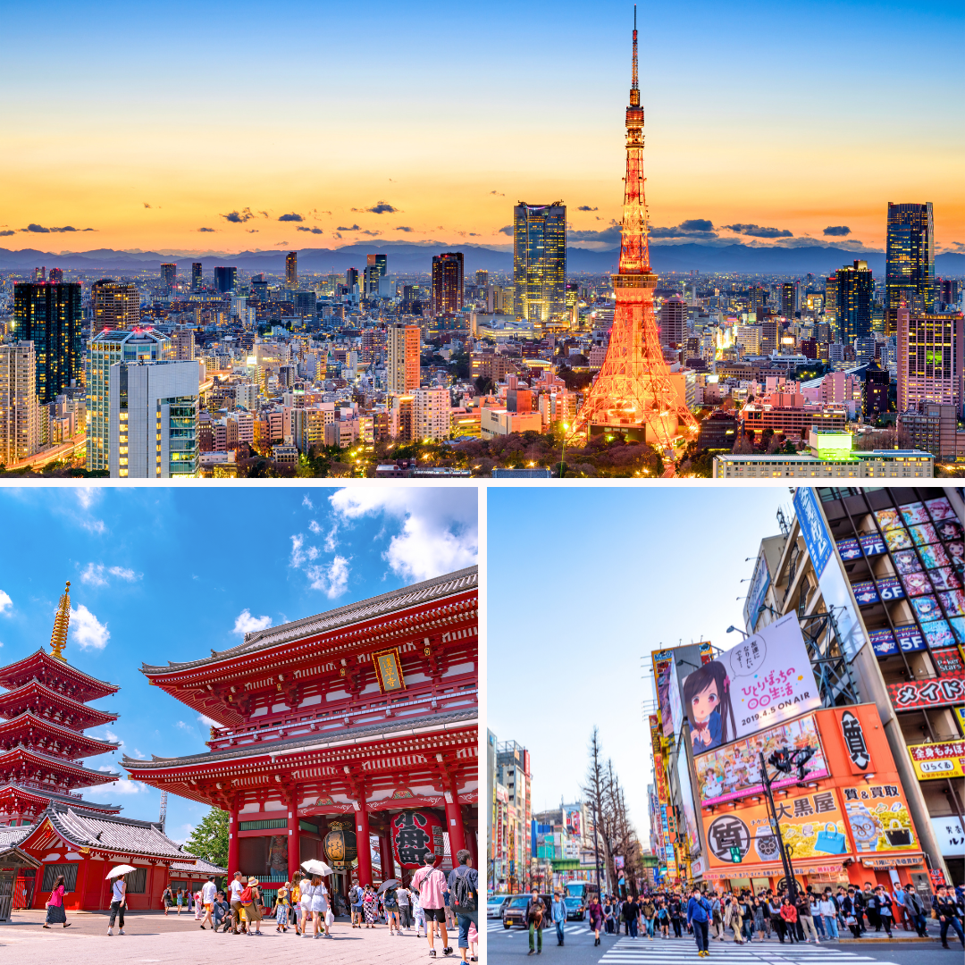 برنامج مدينة طوكيو 1 | Tokyo City Tour 1