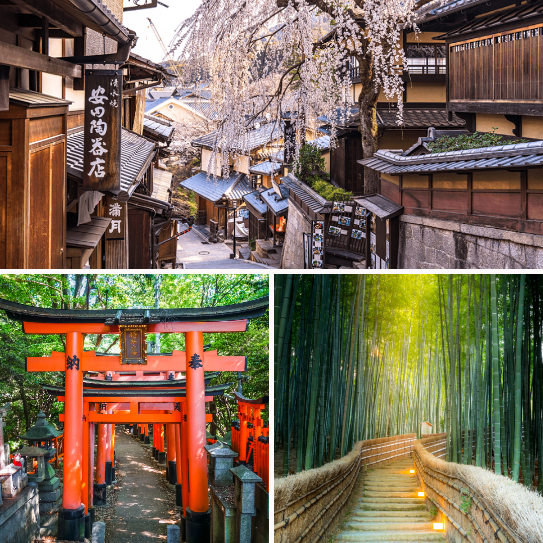 برنامج مدينة كيوتو | Kyoto City Tour